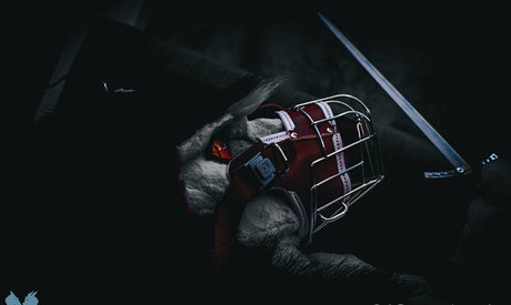 sergnderg star high quality pics