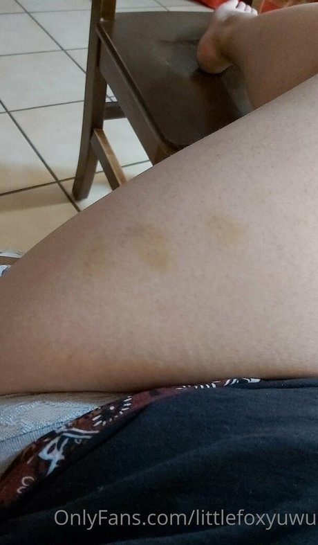 littlefoxyuwu adult model pic