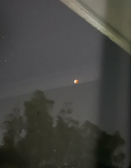 pzz drey pornstar beautiful pictures