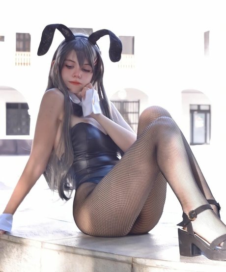 Hacchi Whitebear star pretty img