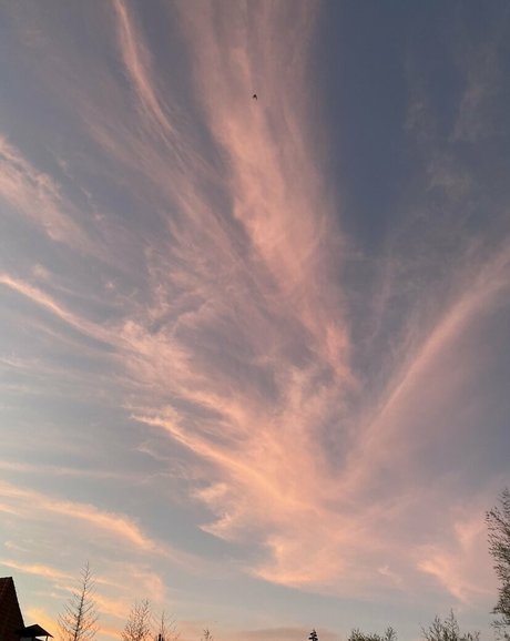 emily morgan pornstar nude galleries