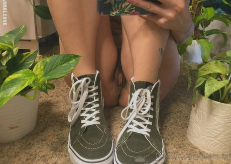 sapphicaat model top picture