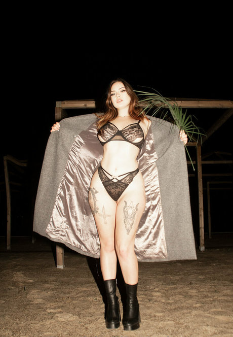 mania official model hd img