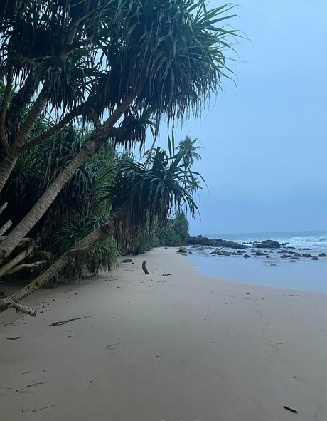 Aagrus hd model image