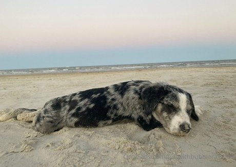 funwithbubblerainbow model high quality images