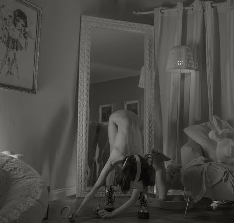 Snowybear star hd image