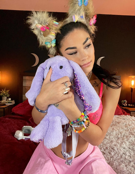 daddieslittlefox star nice img