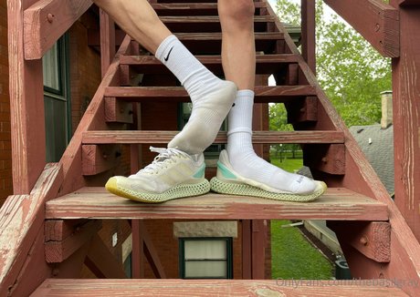 thebasilgray star top archive