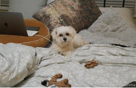 shanma nude model picture