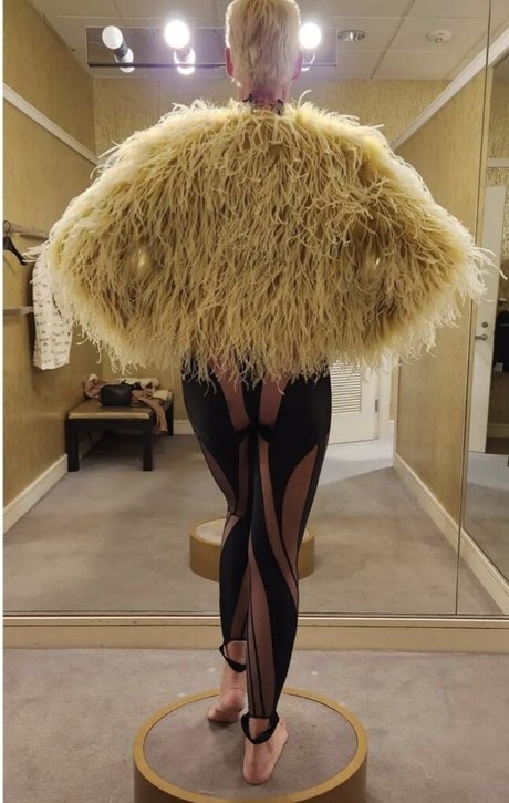 Brigitte Nielsen star picture