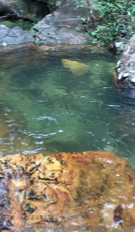 Onemorecum star free archive