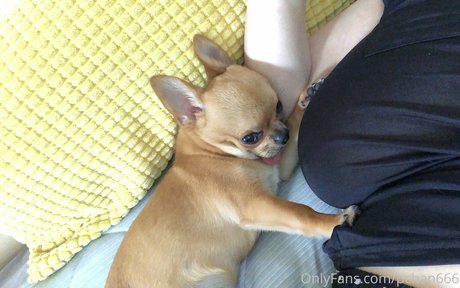 Pchan 666 pornstar nudes img