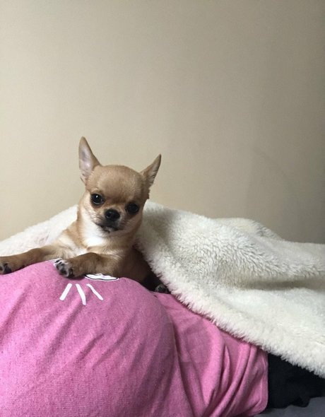 Pchan 666 star sex galleries