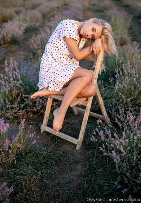 Sojourncouple star perfect image