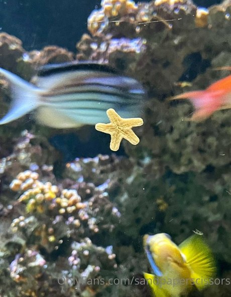 shawnie exclusive star pictures