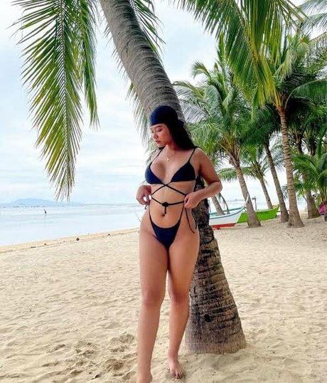 Stephanie Licas top star img