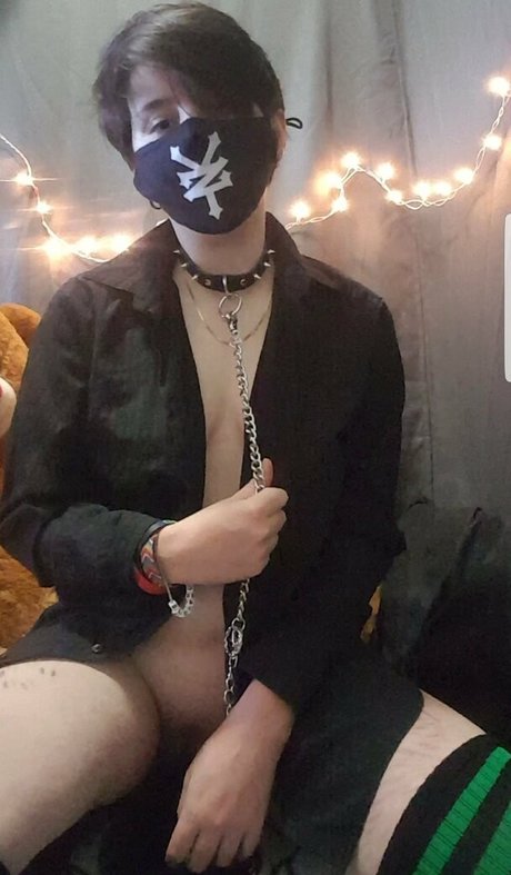 ftmtwinky best model img