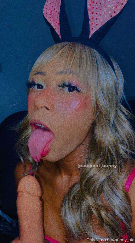 bunny pie hd model galleries