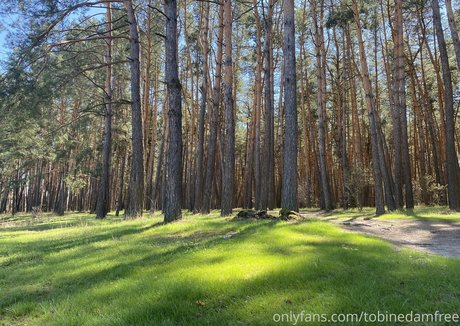 tobinedamfree nice star pics