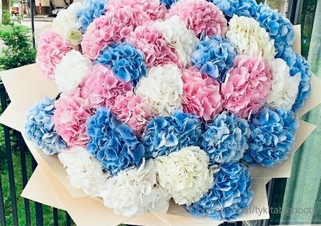 tykitabigbooty pornstar pretty photos