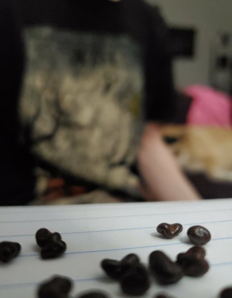 gtssyren high quality star gallery