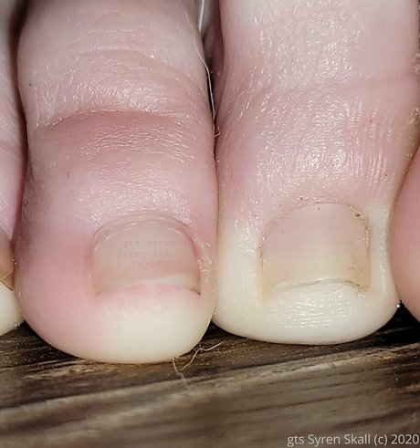 gtssyren top model img