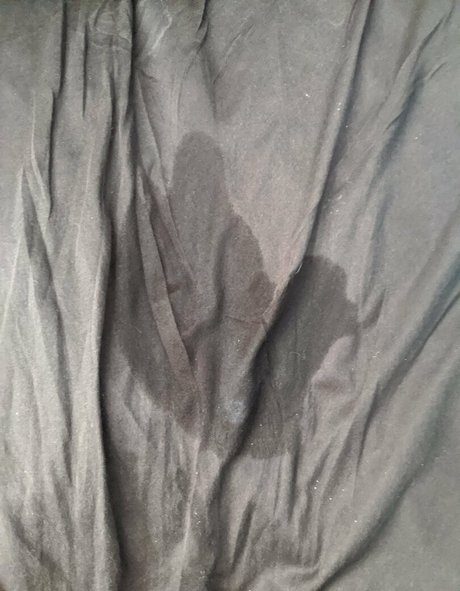 bbwdanibrooke perfect pornstar pics