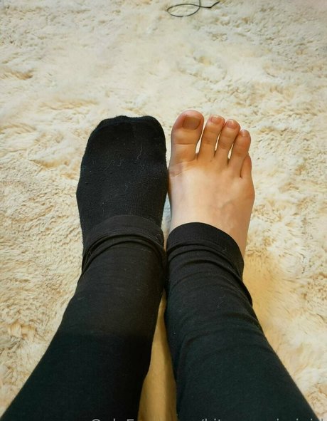 kitsunemimigirl top model archive