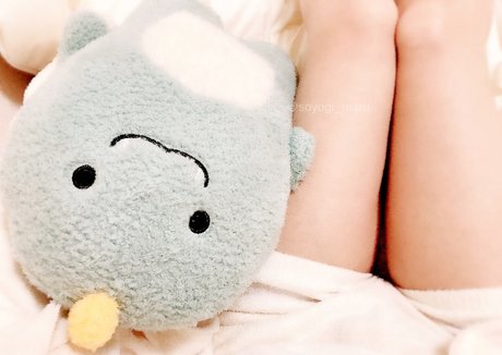 soyogiku top model photos