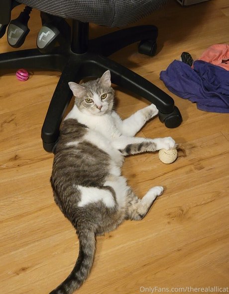 therealallicat pornstar nude photos