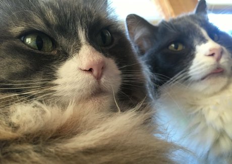 NSFWLeia nudes actress picture