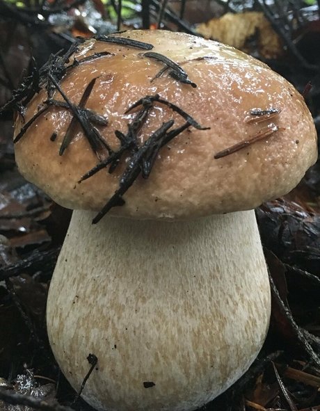 NSFWLeia exclusive star photos