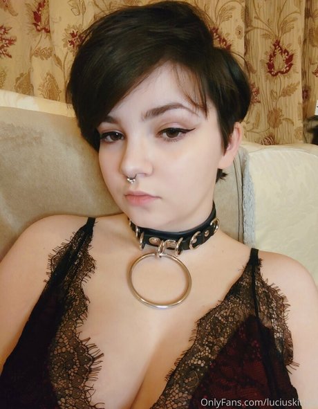 luciuskitten star perfect img