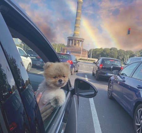 ebony foot fetish onlyfans sexy pics