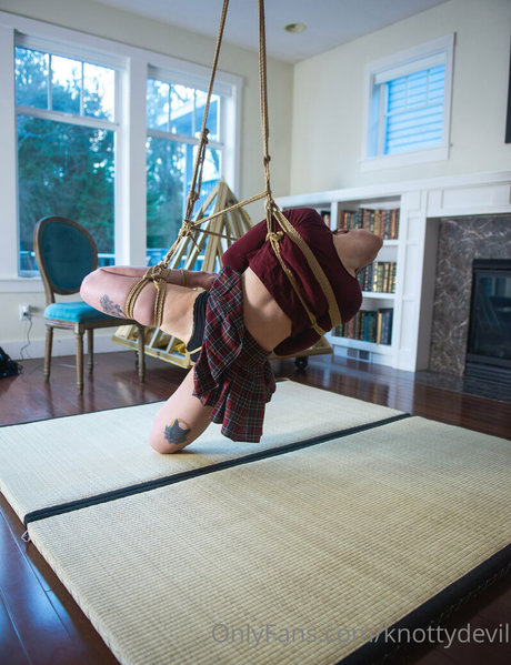 knottydevil art star gallery