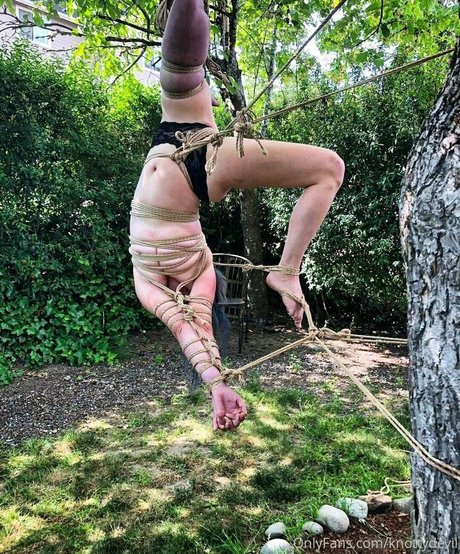 knottydevil star art gallery