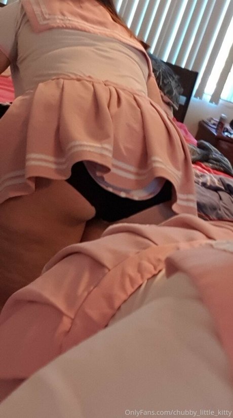 chubby little kitty hot star gallery