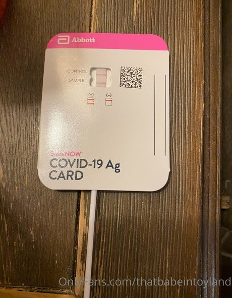 thatbabeintoyland adult star archive