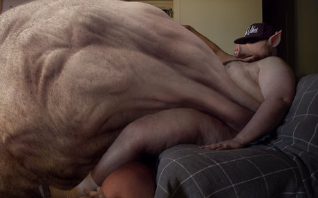 fatback gainer star high quality photos