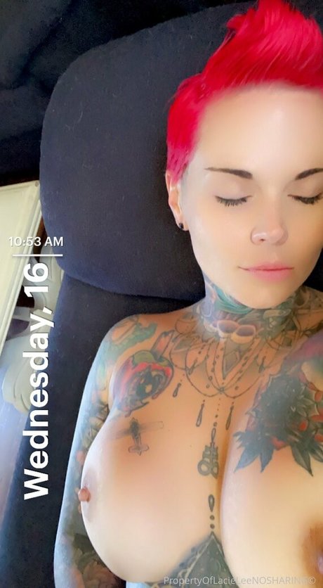 Jackontherocks exclusive pornstar archive