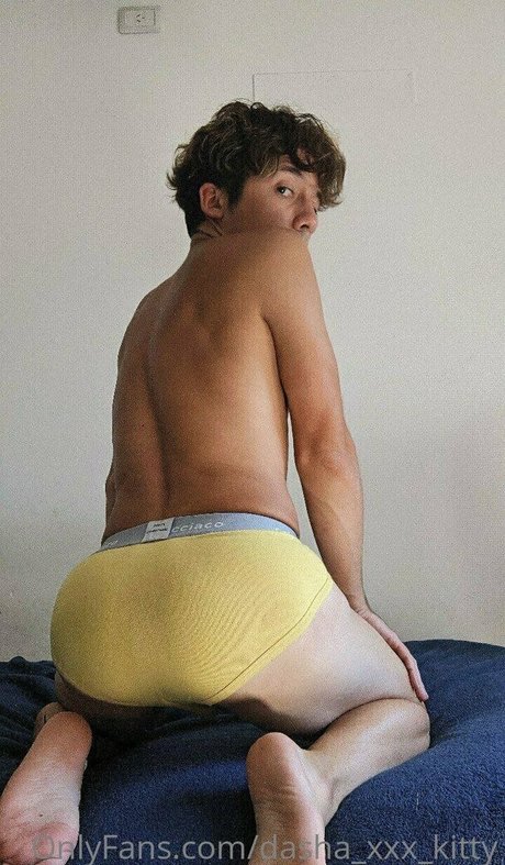 dasha xxx kitty pornstar high quality images