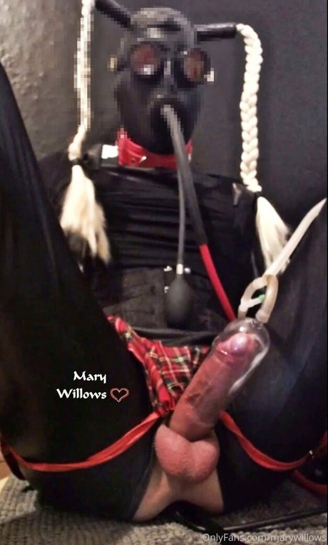 marywillows erotic pornstar pictures