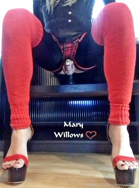 marywillows star hot gallery