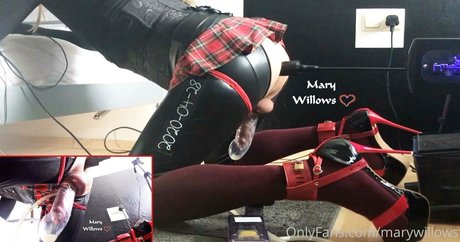 marywillows star pretty picture