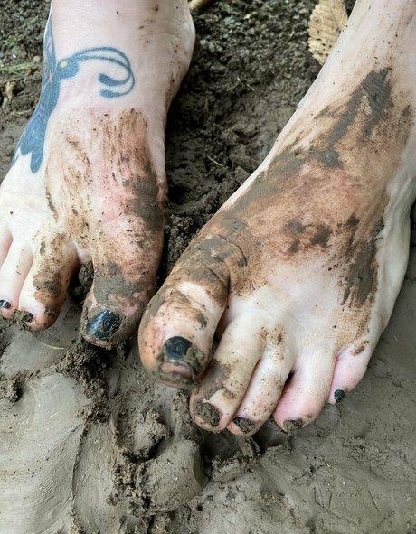 ticklebxtra high quality star gallery