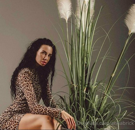 annabrick hd star img