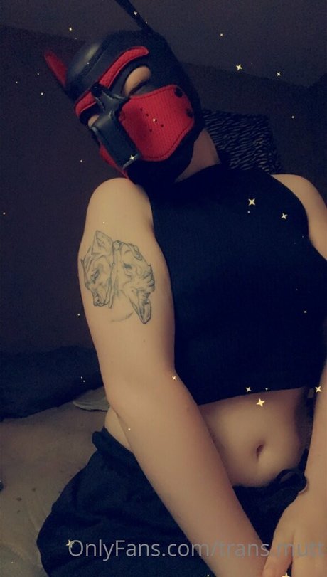 trans mutt adult star photos
