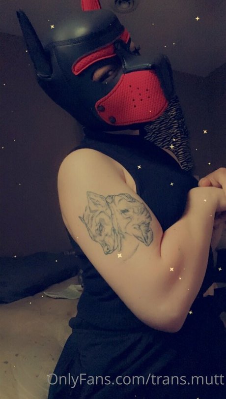 trans mutt model xxx image
