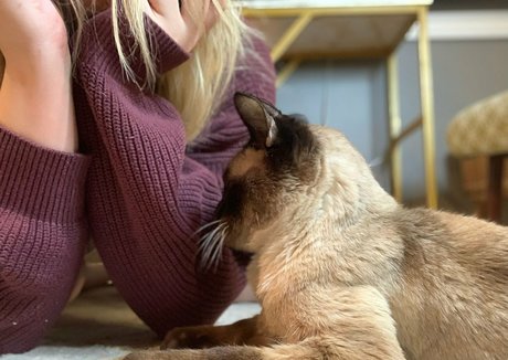 freebunbun nude pornstar pic