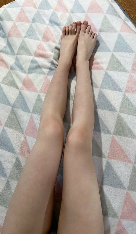 katewank star art archive